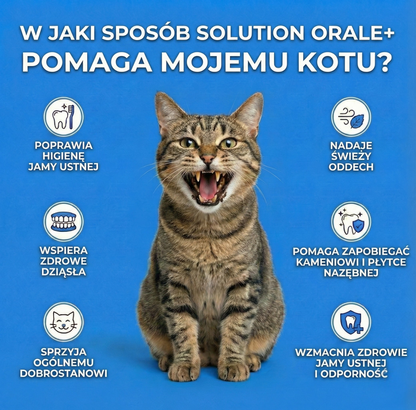 Roztwór Doustny dla Kota+ - Nr 1 polecany przez weterynarzy