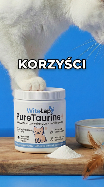 Korzyści