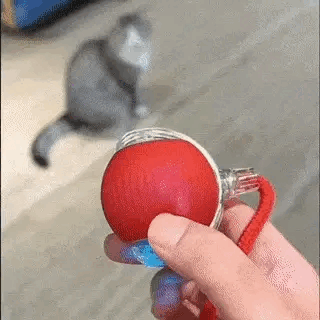 Interaktywna zabawka