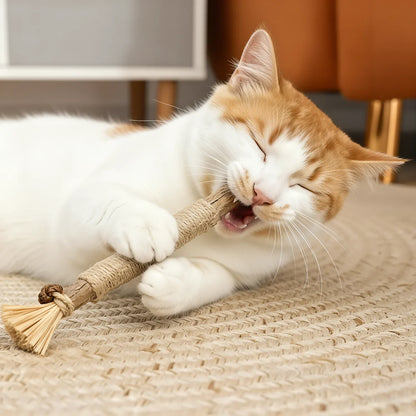 3x Gryzaki dentystyczne