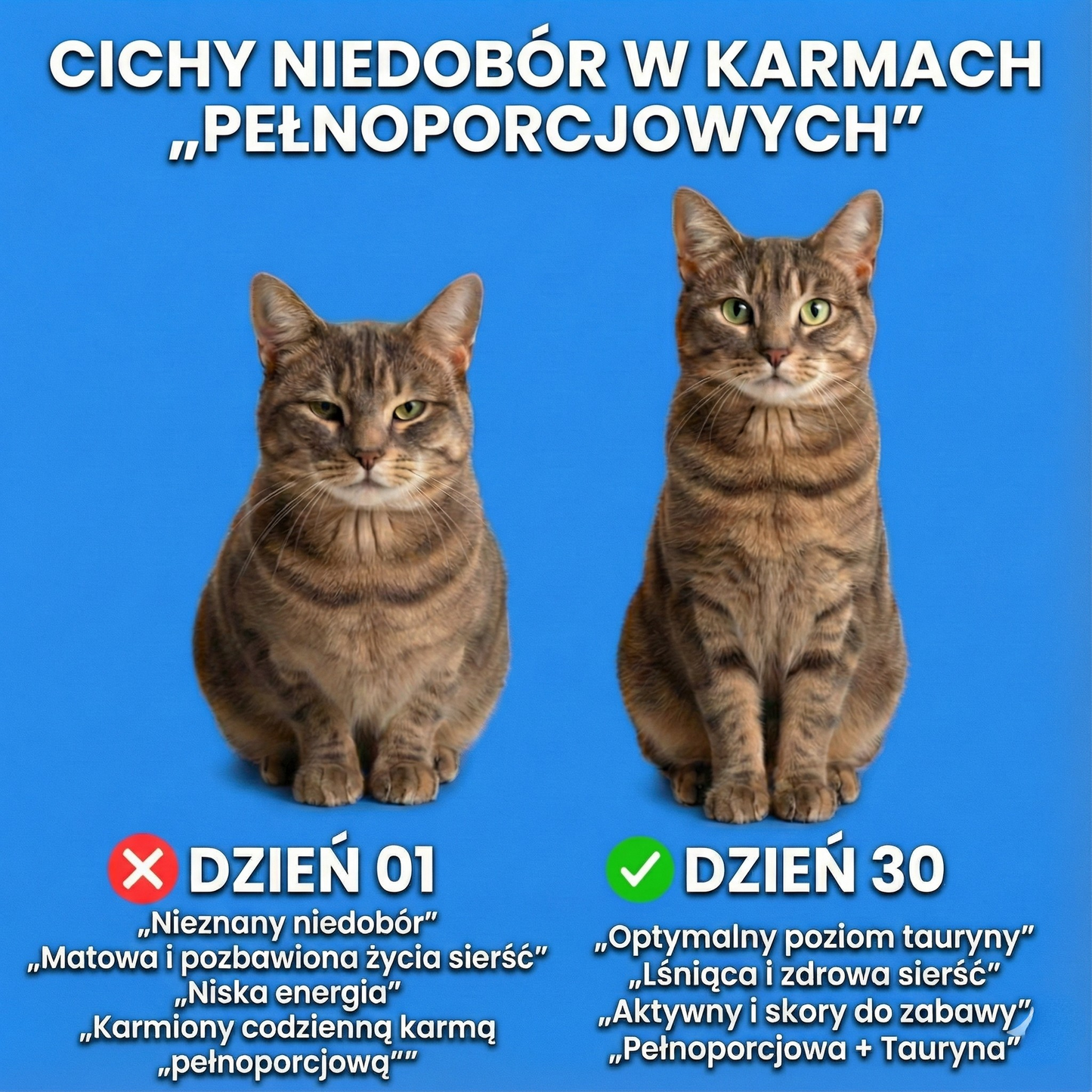 PureTaurine+ - Nr 1 polecany przez weterynarzy