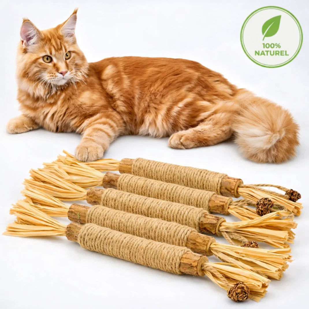 3x Gryzaki dentystyczne