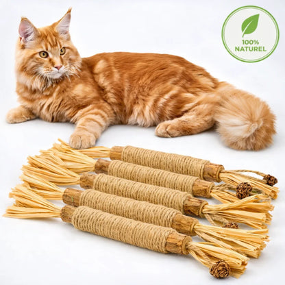 3x Gryzaki dentystyczne