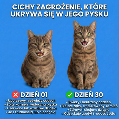 Roztwór Doustny dla Kota+ - Nr 1 polecany przez weterynarzy