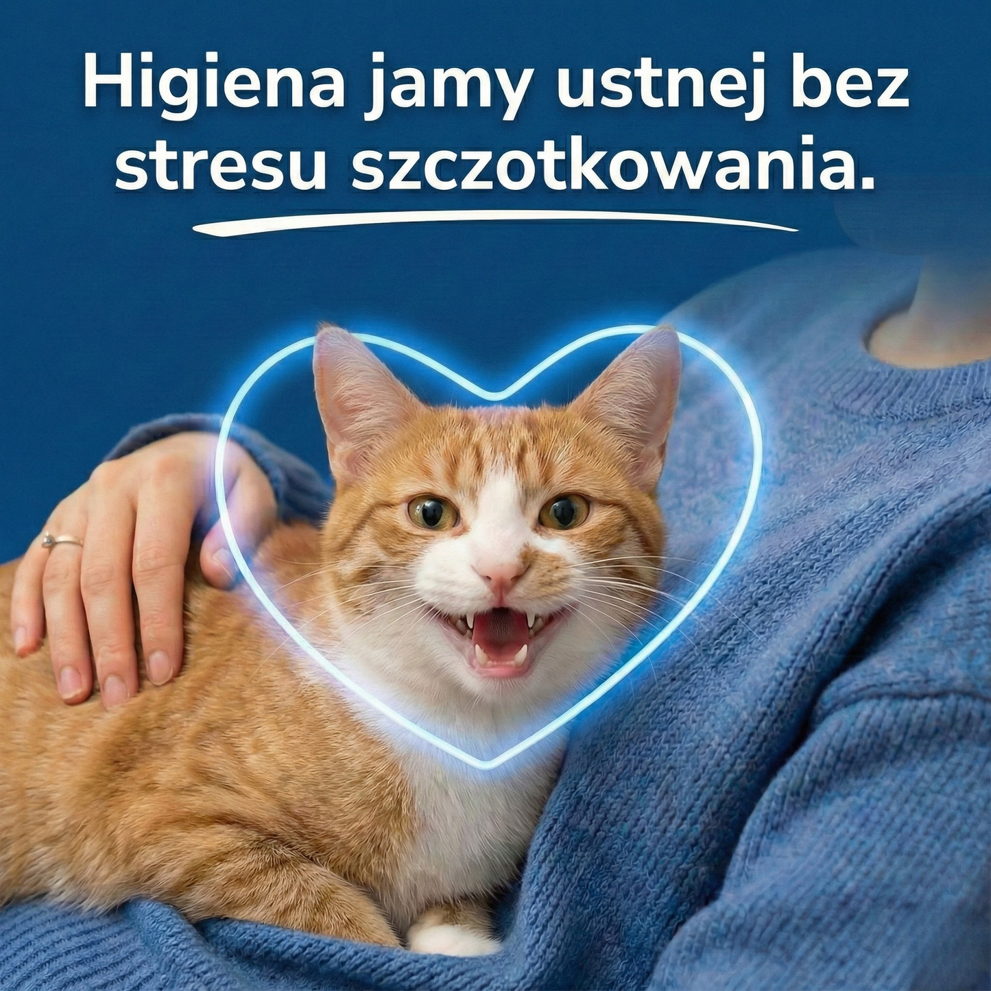 Roztwór Doustny dla Kota+ - Nr 1 polecany przez weterynarzy